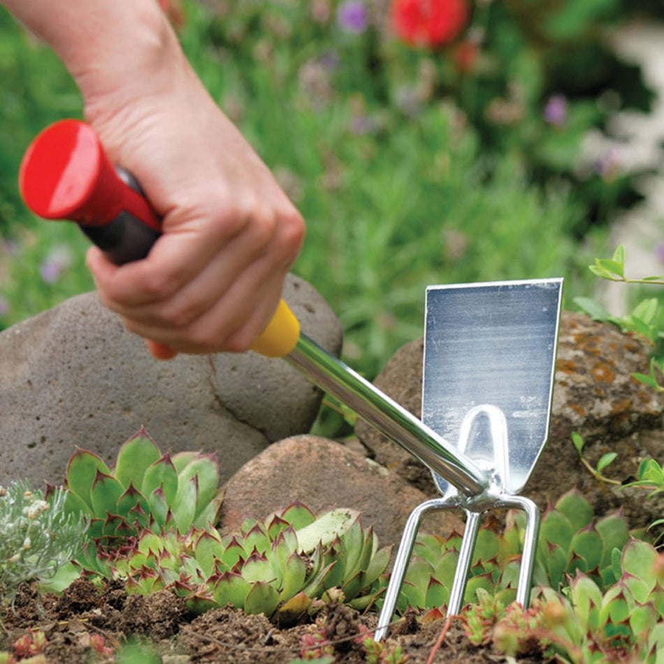 WOLF-Garten-WOLF-Garten LN-2K Double Hoe - 2 in 1 tool for hoeing and loosening soil-Hoe-