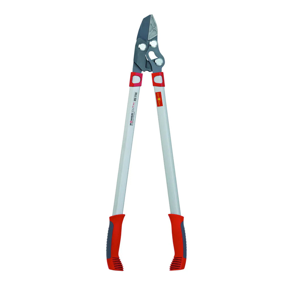 WOLF-Garten-WOLF-Garten RS 750 Anvil Loppers - Long anvil loppers for powerful tree cutting for branches out of reach-Lopper-