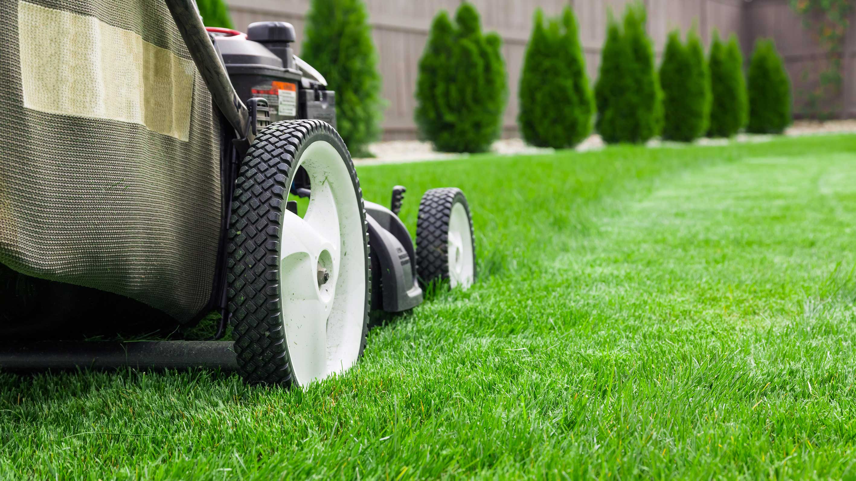 Mower Definition How to Choose the Right Lawn Mower For You – The RedShed - Melbourne's ...