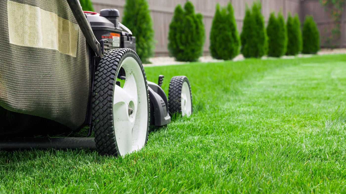 How to Choose the Right Lawn Mower For You