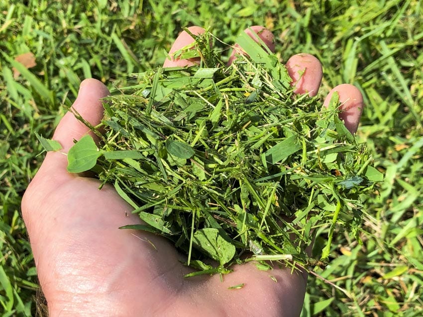 Can You Use Your Lawn Mower To Make Mulch?