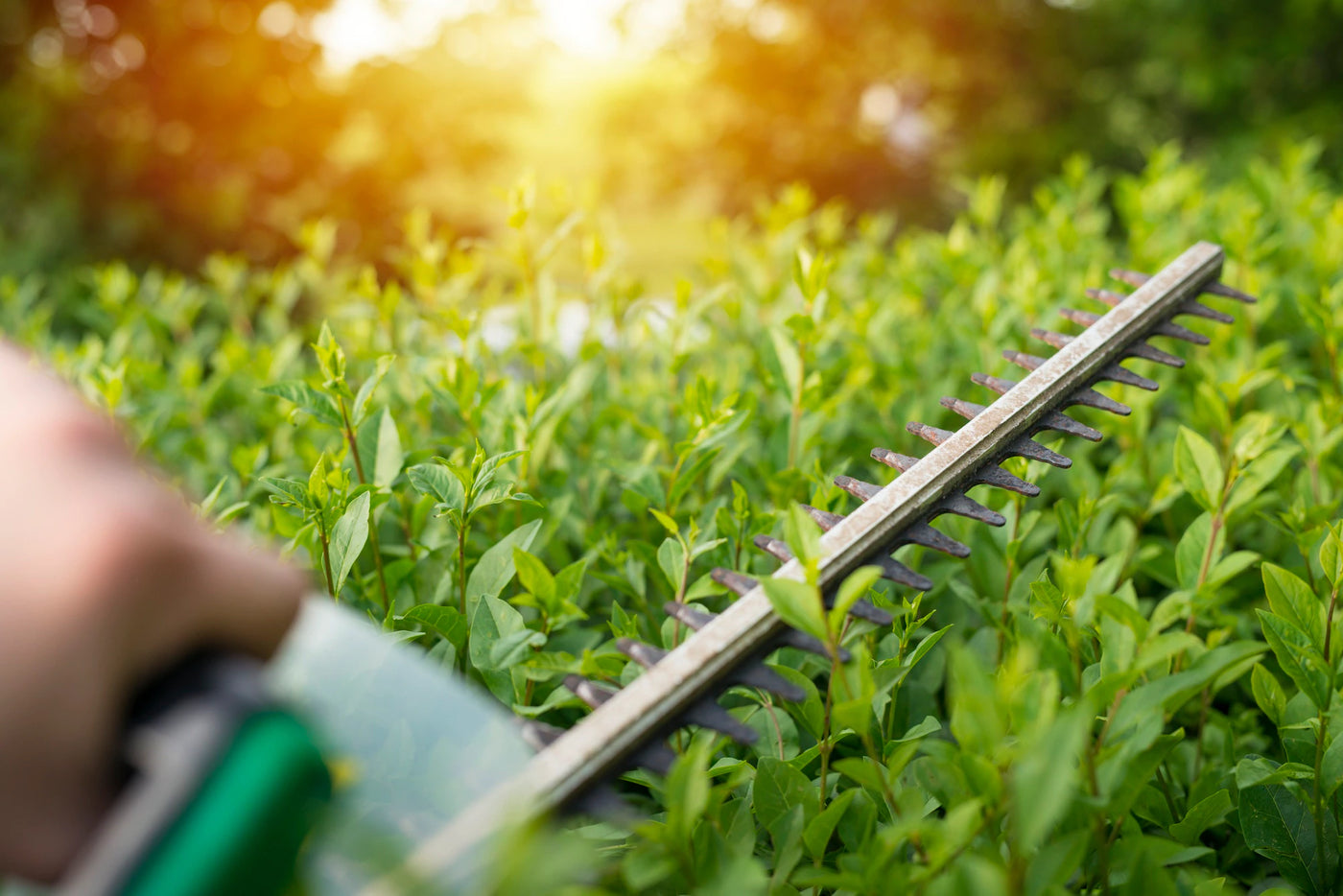 Common Hedge Trimmer Problems