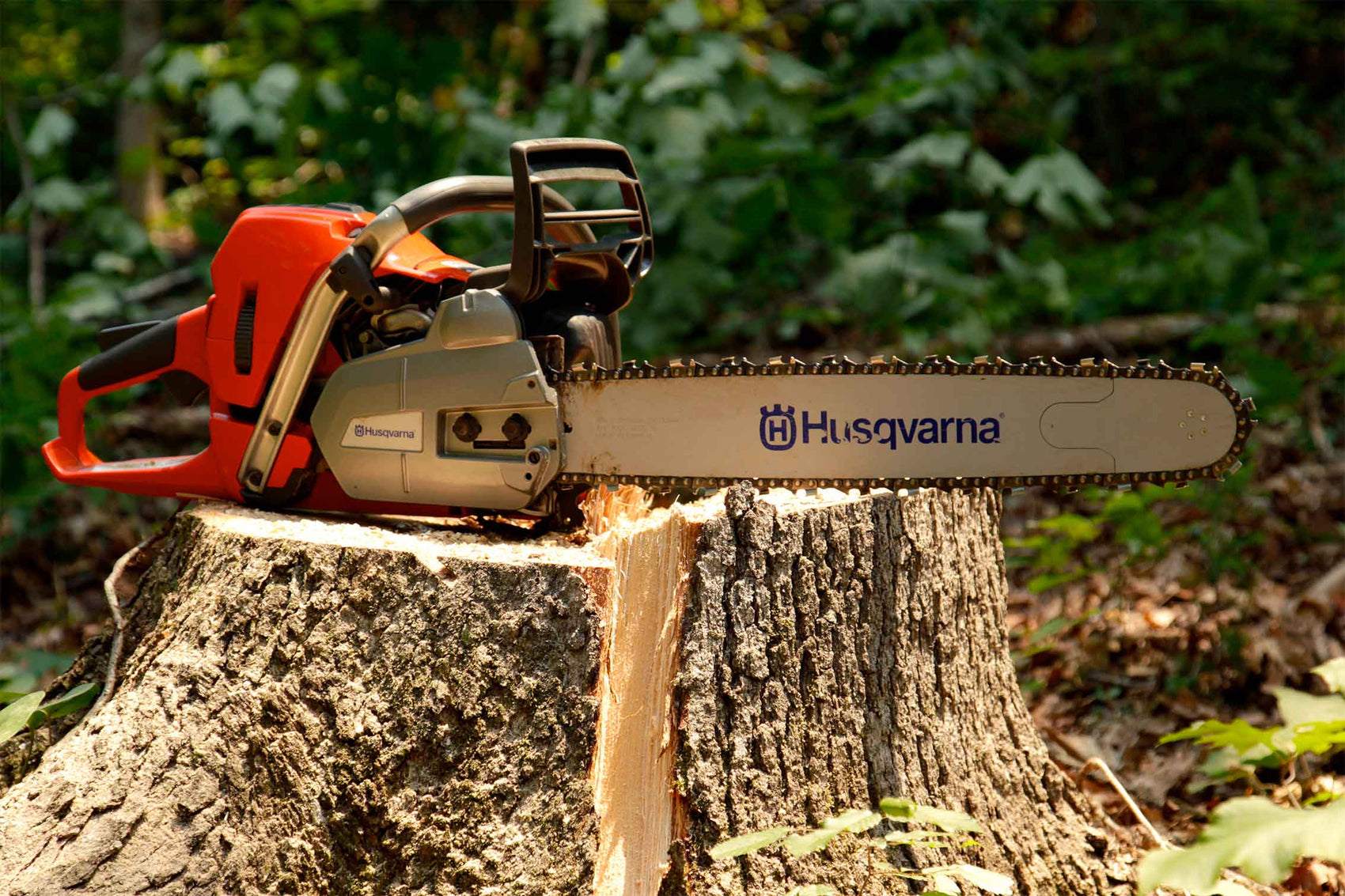 How To Sanitize Your Chainsaw