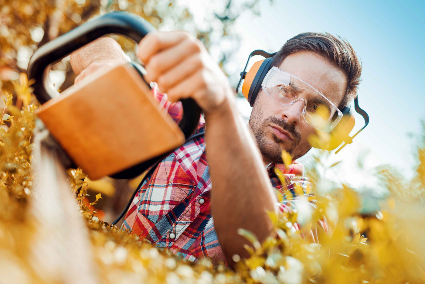 How To Winterize Your Hedge Trimmers