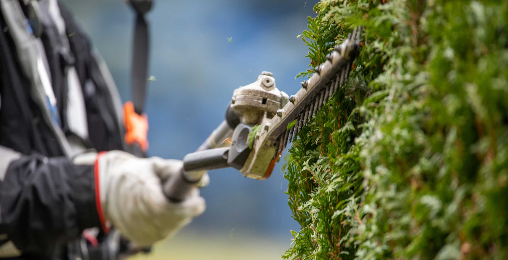 Common Problems with Petrol Hedge Trimmers