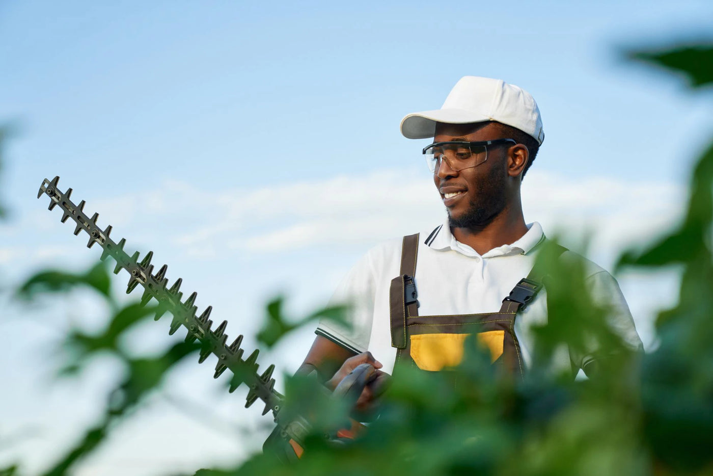 A Guide To Lubricating Your Hedge Trimmer