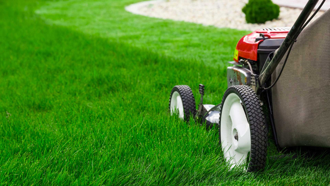 Tips For Buying Second Hand Mowers