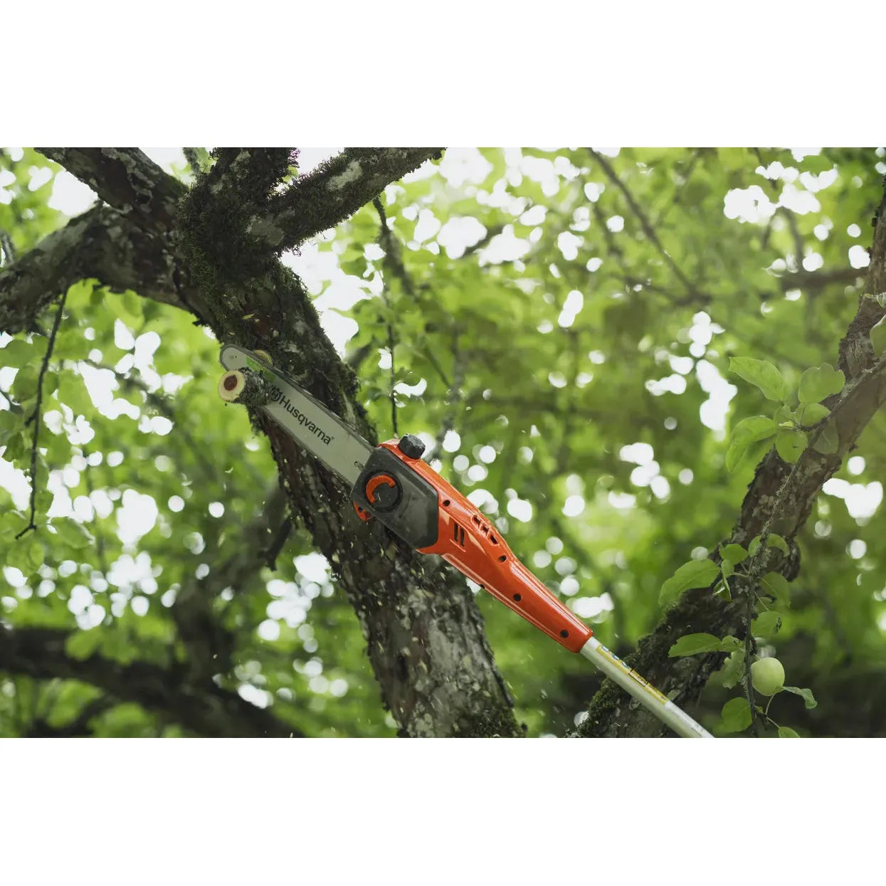 Husqvarna-Husqvarna DP110 FLXi Pole Saw Attachment - Pole saw attachment for precise cutting.-Pole Saw Attachment-