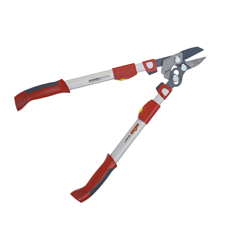 WOLF-Garten RS 900T Anvil Loppers - Perfect for all those branches that are just out of reach