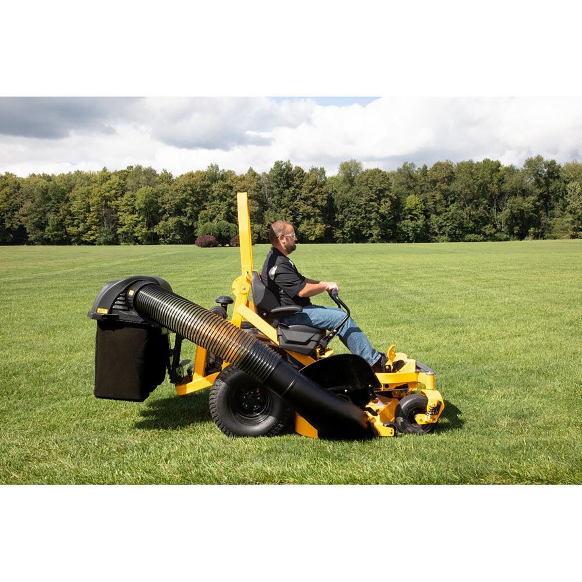 Cub Cadet-Cub Cadet Catcher Kit (48" Cutting Deck)-Catcher Kit-