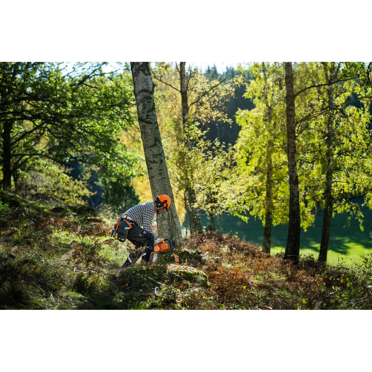 Husqvarna-Husqvarna 450S Chainsaw - Powerful and Robust chainsaw with Smart Start®. You will feel the power, not the weight.-Petrol Chainsaw-