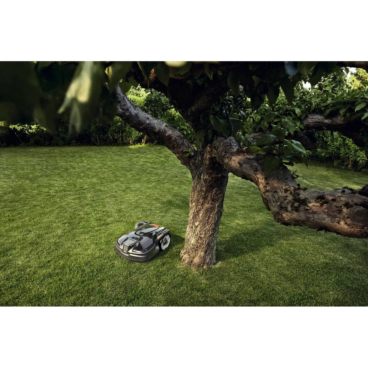 Husqvarna-Husqvarna Automower® 310 Mark II - Upgraded model of AM310 - Easy to use, frost guard & timer!-Robotic Mower-