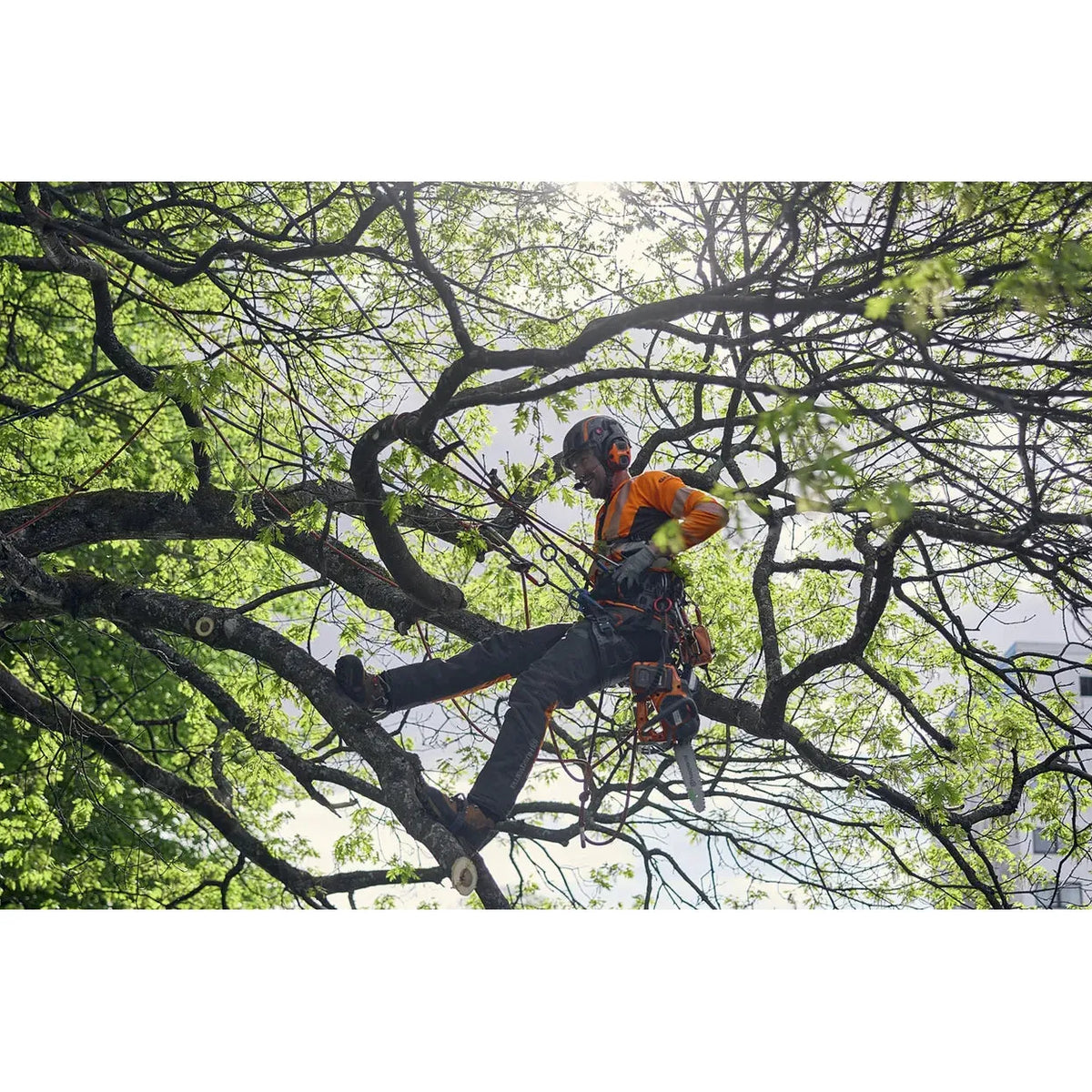 Husqvarna-Husqvarna Climbing Harness - Comfortable and versatile harness for tree climbing.-Climbing Harness-